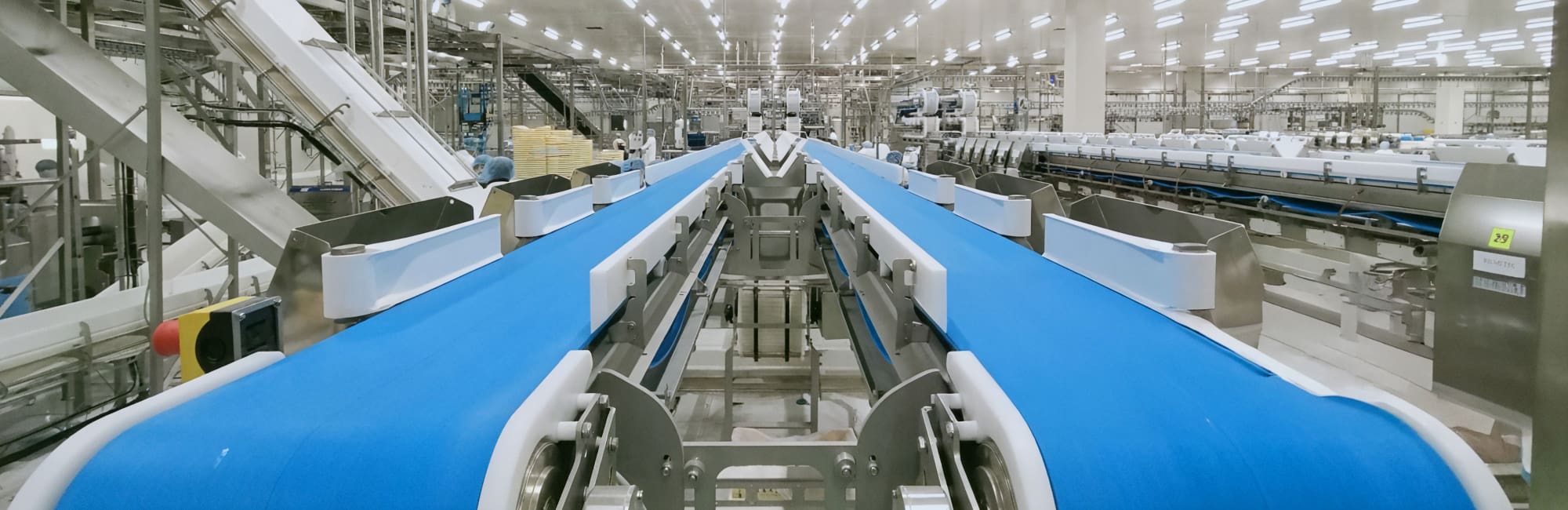 Food Processing